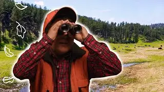 Careers in Conservation
