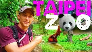 Зоопарк в Тайбэй . Самый большой зоопарк в Тайване - TAIPEI ZOO | 臺北市立動物園