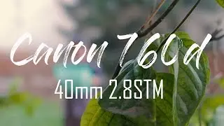 Canon 760D with 40mm 2.8 STM CINESTYLE Profile & LUT Video