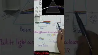 why prism show 7 colours but glass does not  #dispersionoflight #eduphile #optics #shorts
