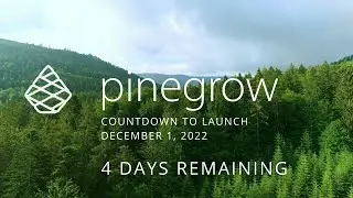 Pinegrow Countdown Day 4 – WordPress Blocks and Themes