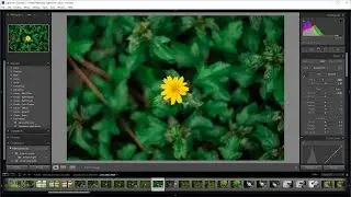 วิธีทำ Lightroom Profile ของตัวเองหรือเอา LUT มาทำเป็น Profile