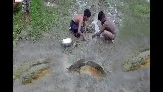 smart village boys catching fishing by filled using net or hsnds,