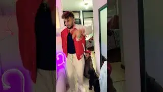 Oso voy contigo 
