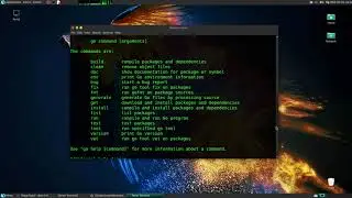 How to install Go Language (Golang) with Terminal on Parrot OS Security Linux
