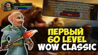 ПЕРВЫЙ 60 УРОВЕНЬ В WOW CLASSIC l Бан за TeamViewer