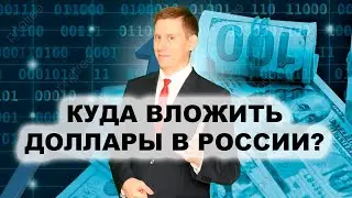 Куда потратить доллары? Куда выгодно вложить доллары в России 2022