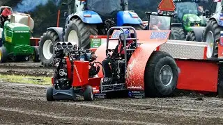 Mini Modified 950kg at 1. DM 2023 in Tractor Pulling at Brande Pulling Arena | Really Loud Pullers