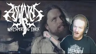 TEXAS SIZED DEATH METAL | ASYLUM - WHISPERING IBEX REACTION