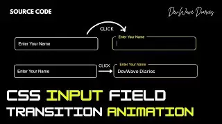 How to Create Input Field with Floating Label Animation Using CSS | Css Transition | Css Selectors