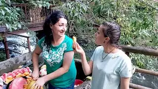 #Մատաղ #Աշտարակի Ձոր Արևիկ հանգստյան գոտի։