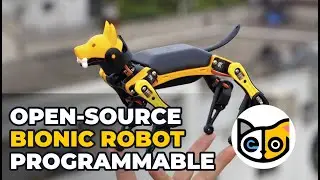 Meet Bittle The Programmable Open-Source Bionic Robot Dog