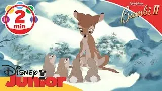 Bambi II | Thumpers Little Sisters | Disney Junior UK