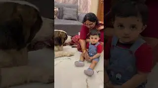 Kitte samjhdar h dono😂❤️