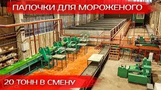 Строительство завода Палочки для мороженого 20 тонн в смену