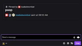 New Twitch Chat Feature: Pinned Messages!