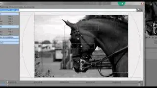 How to pan and make your media widescreen in sony vegas (BASICS)