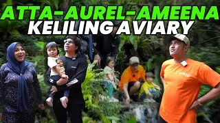 AMEENA GIRANG BANGET MAIN AIR DI AVIARY DEHAKIMS