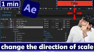 How to change the direction of scale in After Effects