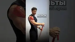 ТРЕНИРОВКА ДЕЛЬТ С РЕЗИНОВЫМИ ПЕТЛЯМИ