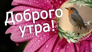 Доброе утро | ПРОСЫПАЙТЕСЬ СЧАСТЛИВЫМИ!