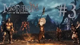 Part 3 - Day Eight (Continued) and Nine - Swanky Plays Mordheim