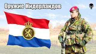 Стрелковое оружие армии Нидерландов