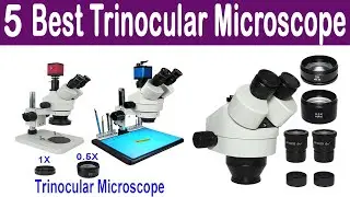 Top 5 Best Trinocular Microscope Review 2020 | Best Stereo Microscope