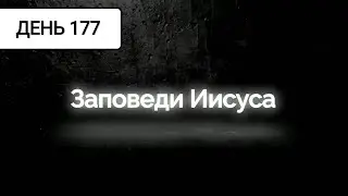День 177 | Бог поставил их на это место | Заповедь 26 | Почитайте ваших родителей | 