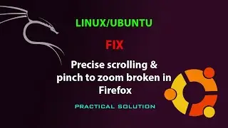 LINUX FIX: Scrolling & pinch to zoom broken in Firefox
