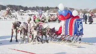 Парад оленьих упряжек 