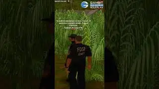 СИЛЬНЕЙШИЕ РОЛИ ДЛЯ ИГРЫ#1 