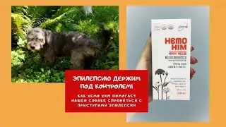 #ХемоХим и #эпилепсия у #собаки 🐕