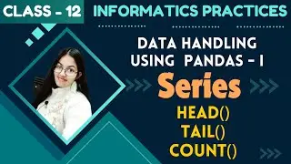 head(), tail() and count() | Data Handling using Pandas  | CBSE Class 12 Informatics Practices (065)