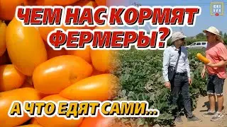 Чем нас кормят фермеры? Правильные продукты для вкусной засолки