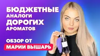 Бюджетные аналоги дорогих ароматов | Обзор Марии Вышарь