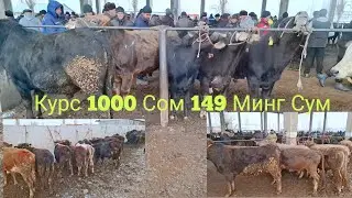 Ош Учкун мол бозори Букалар нархлари 5 Январь 2 чи видео