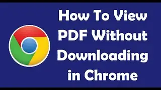 How To View PDF Without Downloading in Chrome