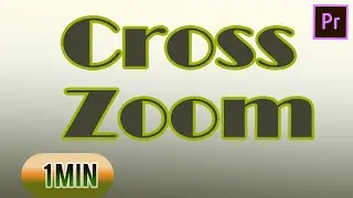 Premiere Pro Effects | Premiere Pro Cross Zoom Effects Quick Tutorial | Premiere Pro tutorial 2021