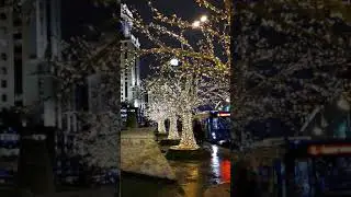 Павелецкая площадь. Новогодние украшения в Москве. Где погулять в Москве на новый год