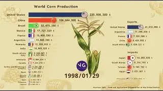 The largest Corn producers in the world