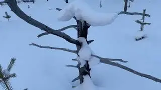 Поездка-Природа-Стойбища