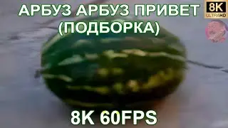 АРБУЗ АРБУЗ ПРИВЕТ (ПОДБОРКА) 8K 60FPS 🍉🍉🍉