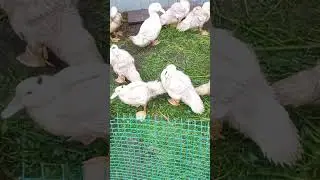 и мы хотим быть красивыми