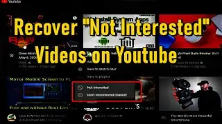 How to recover video that is clicked "Not interested" or "Don't recommend this channel" on Youtube