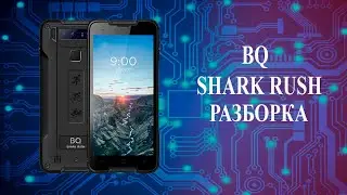 bq shark rush разборка