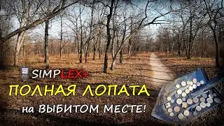 Коп в лесу с Nokta Simplex  Поиск монет  Симплекс ПОРАДОВАЛ находки 2020
