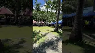 Relaxed at  cobra reef resort diguisit baler #shortsviral