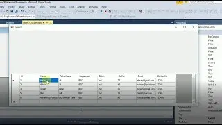 How to Display Data on DataGridView Visual Studio C# Windows Form Application?