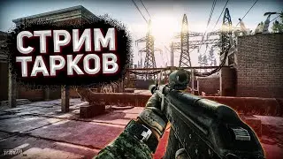 ЭТО ТАРКОВ НО АРЕНА... МЕНЯ ТУТ ОБИЖАЮТ!! ХЕЕЕЛП!!
